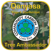 Danyasa Yoga Retreat Dominical