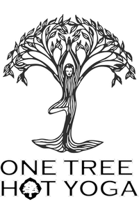  One Tree  Hot Yoga in Davenport IA